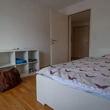 Spacious, Very Quiet And Very Well Located Flat * Reichenbach im Kandertal