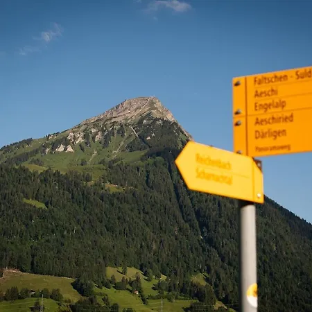 Spacious, Very Quiet And Very Well Located Flat Apartment Reichenbach im Kandertal